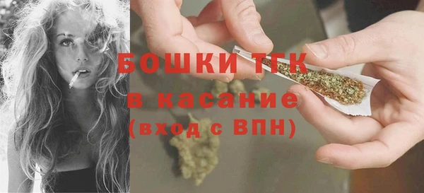 шишки Богородицк